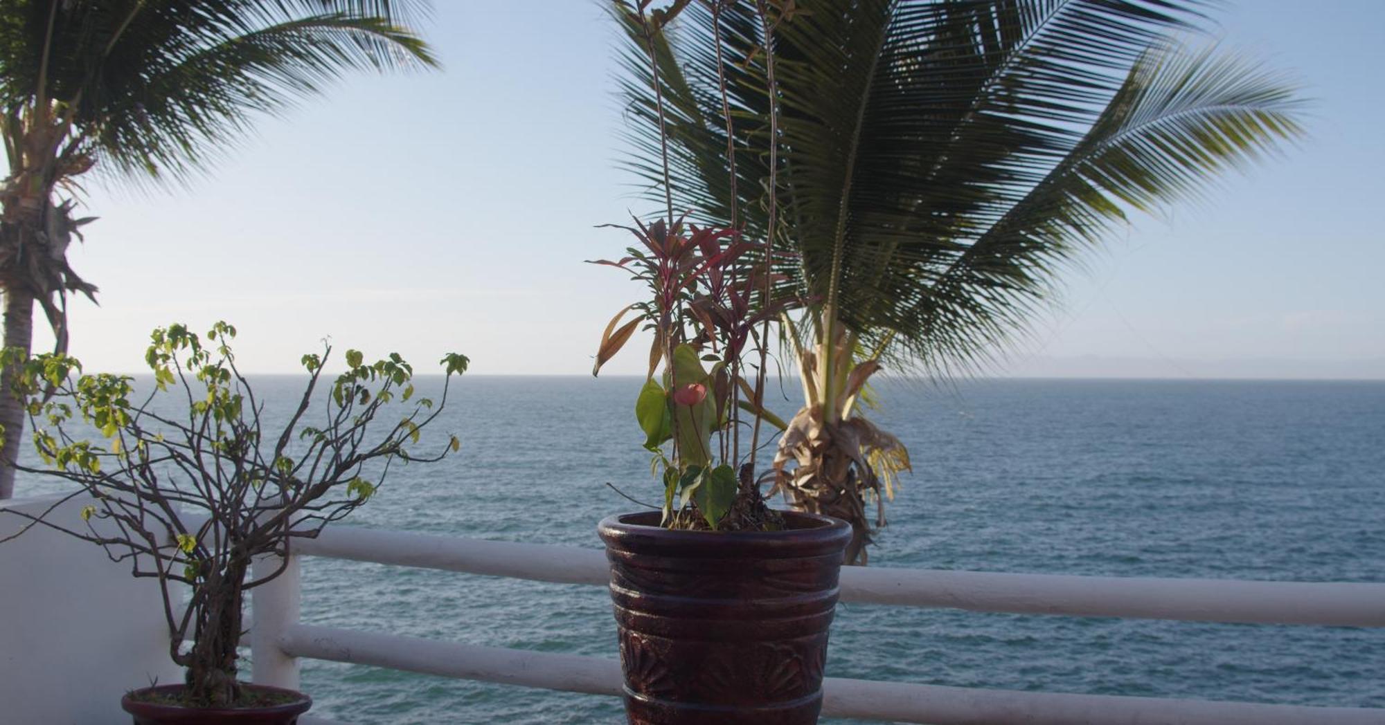 Traditional Sierra Leon Oceanfront Rooms - Adults Only Puerto Vallarta Exterior photo